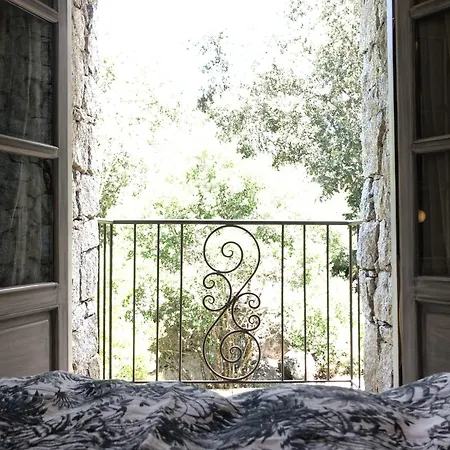 Domaine Pardini Villa Porto-Vecchio  Room photo
