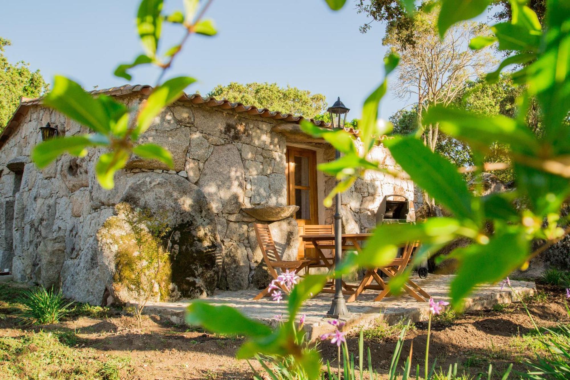 Domaine Pardini Vakantiehuis *