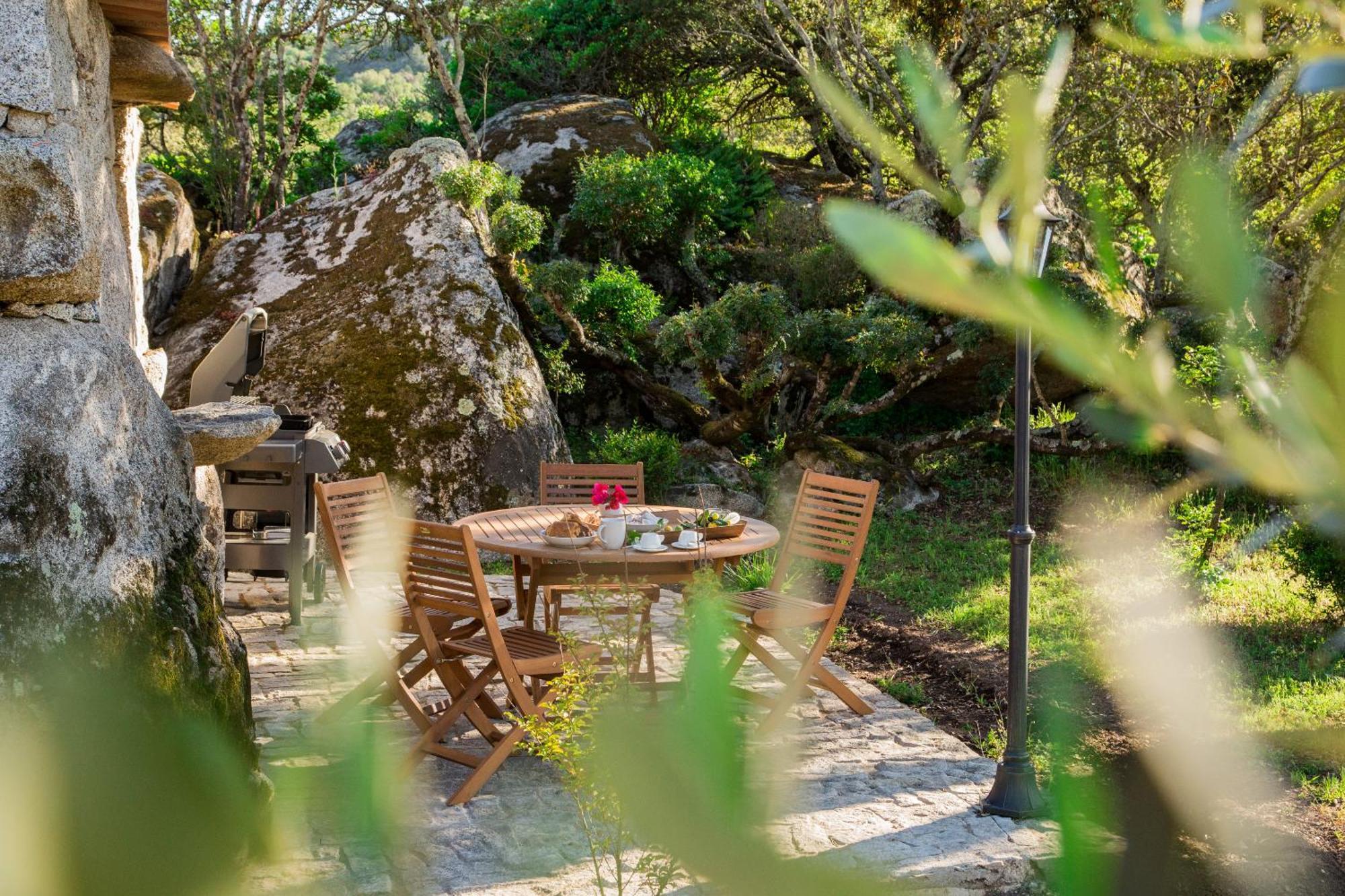 Domaine Pardini Porto-Vecchio (Corsica)
