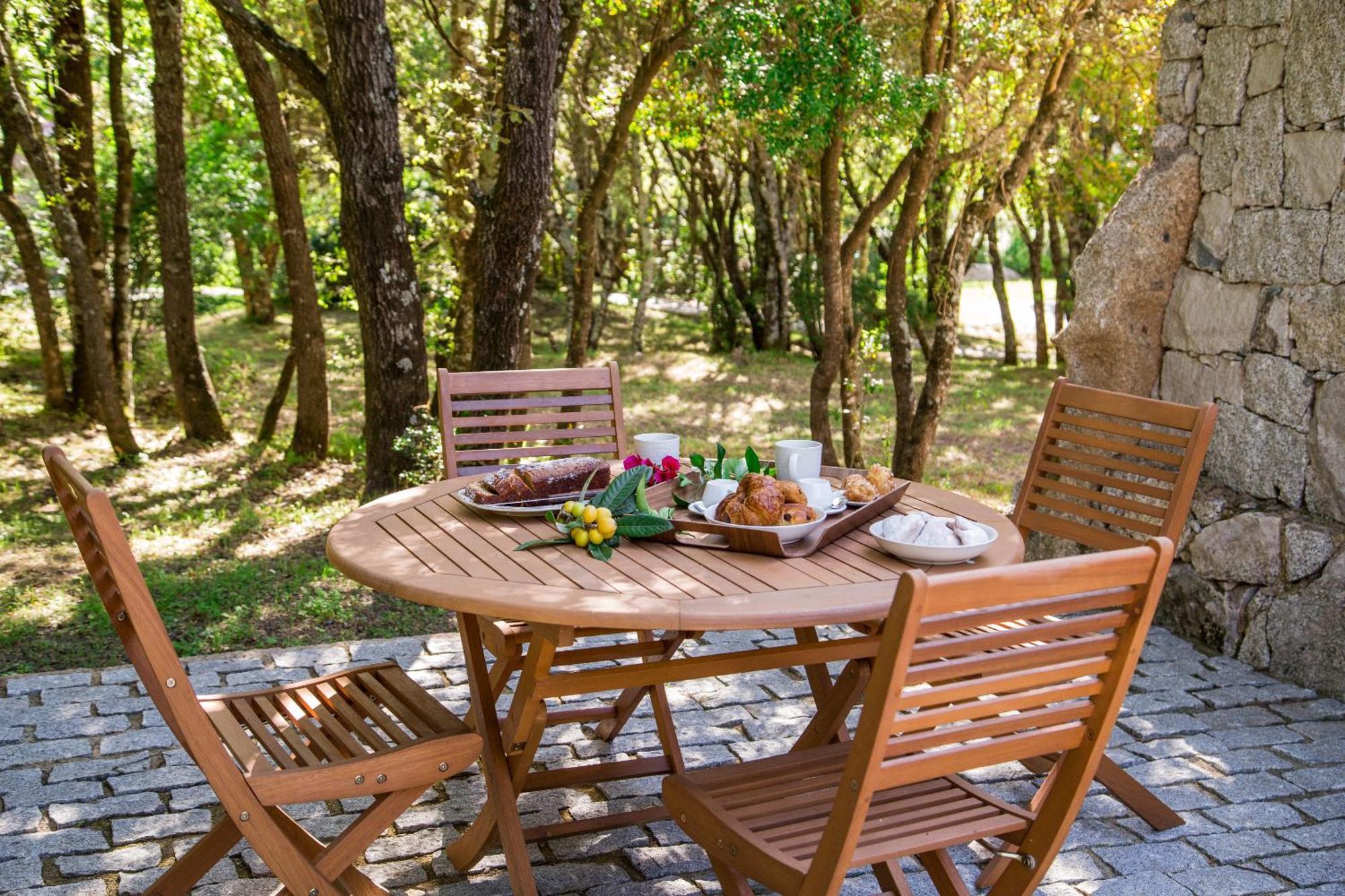 Domaine Pardini Porto-Vecchio (Corsica)